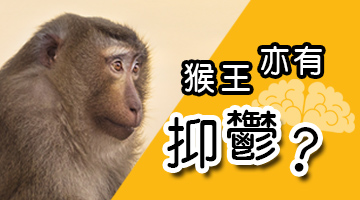 猴王亦有抑鬱? 了解抑鬱情緒與腦部各種物質的重大關係，解構治癒的關鍵 陷入抑鬱是血※素作崇? 血※素向來被認為與心靈的安定有關。它不只影響心情，也會影響個人在群體中的地位。 有項有趣的調查發現，熱帶草原的猴群中的猴王，血※素含量最高，比其他不是領導地位的個體相比高出兩倍。 當猴王被奪走王位，體內血※素便急劇減少，並出現精疲力盡、若有所失、陷入抑鬱的狀態。而隨機選出一隻猴子並給予抗憂鬱藥物以增加血※素時，那猴子突然開始坐鎮指揮，成為新猴王。 血※素對人類也有同樣的影響。根據對美國大學住宿生的調查，在宿舍居住時間較久的領導型人物，體內血清素含量比剛入住的新生更多。然後半開玩笑地也測量了教授與研究助理的血※素含量，結果發現教授的血※素量最多。 多※胺的任務 另一種腦內傳導物質叫多※胺，它最重要的任務不只是振奮我們的精神，亦是讓我們選擇專注在哪件事上的原動力物質。例如肚子餓時看見食物上桌，光是這樣就能增加多※胺分泌量。所以並不是在吃的過程中才分泌! 壓力緣於HPA軸? HPA軸首先從腦部的下視丘開始，傳送訊息給腦下垂體，要求腎臟的腎上腺分泌一種荷爾蒙- 皮質醇，皮質醇對身體而言是最重要的壓力荷爾蒙。一連串的反應變成我們感受到的心跳加速。 而歸根究底，什麼啟動這一整個HPA軸系統呢? 是位於腦部的杏仁核。杏仁核一直保持開啟的狀態，不停不自覺地注意周遭情況，探知危險。周遭的刺激愈多，杏仁核反應機會愈高。 所以HPA軸的存在是為了令人類在危險下存活，例如祖先為了躲避獅子而激活HPA軸壓力系統的反應。但現代人的壓力不像避獅子般一次性短暫，反之是持續很久的長期壓力。一旦壓力荷爾蒙長期增加，腦部就無法正常發揮作用。 受壓力困擾下，腸胃會變差、噁心想吐、失眠或性慾下降等，壓力亦影響我們的思考能力及心情變得浮躁，失去耐性。 不安是人類獨有的現象 基本上所有脊椎動物 (如貓、狗、老鼠)都有HPA軸，但動物遇到直接的威脅才會啟動HPA軸，但人類連假設性的內心劇本都能啟動HPA軸。因為推測未來的能力是人類的重要特質，是擁有智力的證明，但腦部無法區分實際與想像，所以依舊會啟動壓力系統。 長期壓力最終引至抑鬱。 抑鬱症狀是為了免疫? 會不會得憂鬱，某些部分也受到遺傳基因影響。研究這些基因後發現了令人驚訝的現象。這些會提高罹患憂鬱風險的基因，同時含有活化免疫系統的事物，也就是憂鬱和免疫力之間帶有關連性。對腦部而言，憂鬱或許是護衛身體免於感染的手段。 具有引發憂鬱風險的基因有兩項任務，一是確實讓免疫功能運作，二是藉由使人憂鬱去達成與危險、受傷、感染性疾病保持距離的目的。 患者了解自己情感所擔負的任務是很重要的。如果患者明白，不安是要拯救我們於危險之中，或憂鬱是要保護我們免於受感染、避免爭端的手段，那麼也能夠這麼想： 陷入憂鬱不是自己的錯，只不過是腦部按照進化的步調在運作。 調整完對抑鬱的看法，了解背後的醫學原理後，就可以積極接受治療了。 《林淦生®焦鬱寧®》 能顯著地改善腦部細胞活力，平衡腦部生物電流，促進負責調節情緒的各種化學傳遞物質在分泌、傳遞及利用度等達至正常人水平，幫助患者步向自然康復。 本品功效卓越而無任何副作用，處方極為平和，適合任何年齡及體質服用。 本品同時亦能促進肝、心、腎等內臟健康，逐步消除後遺症。大部份情況下在按說明書指示服用指定療程後，可無需再服藥，本品經長期臨床實踐，未發現和任何西藥同日服用而產生任何副作用。 ※由於法例字眼所限，如有不明之處，請參閱說明書、臨床指南。