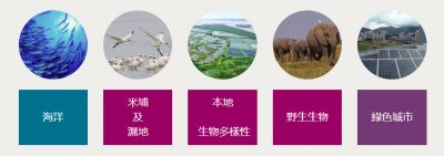 林淦生醫藥研究院 愛地球 愛生命 林淦生醫藥研究院了解到不同國際及香港組織都致力推動環保，保護動物工作，世界自然基金會（WWF）是其中之一。 圖片來源:世界自然基金會香港分會網站 本院希望在環保工作上出一點力，已經在「世界自然基金會（WWF）」的網站上簽署承諾: -在2024年或以前，於大嶼山西面和南面水域成立不受任何人為發展影響的海豚保育管理區 -在2030年或以前，將30%的香港水域劃為海洋保護區 -選擇環保海鮮 -拒絕使用即棄塑膠 本院希望大家一同關注環保工作，一同承諾! 世界自然基金會（WWF）於1961年在瑞士成立，是世界上最知名、最受尊重的獨立保育組織之一。1981 年，世界自然基金會香港分會（WWF-Hong Kong）成立，並以遏止自然環境惡化、締造人與自然和諧共存的未來為使命。世界自然基金會香港分會於1981年成立，乃WWF國際網絡的重要組成部分。本會工作始於管理米埔自然保護區及保護稀有物種。多年來，我們不斷努力、迎難而上，為香港保育和教育事業出力，並始終與WWF的全球策略同步。 以下為世界自然基金會（WWF）保育工作其中幾個範疇，歡迎進入該會了解如何支持的行動。 圖片及文字來源:世界自然基金會香港分會網站 林淦生醫藥研究院其他環保工作-膠樽回收計劃 為響應綠色生活，履行社會責任，本院推行膠樽回收計劃鼓勵空樽回收，並轉交由環保團體處理。本院冀望藉此廢物利用，減少環境污染。 歡迎客戶抱著「愛地球、愛生命」的信念，帶同林淦生產品的空樽到專門店及門診，即可換領購物現金券。 環保的事，從小事做起，齊齊推已及人，為地球持續發展出一分力! 歡迎各慈善社福機構､企業與我們洽談合作機會，請電郵enquiry@lamkamsang.com跟我們聯繫，我們將會盡快回覆。