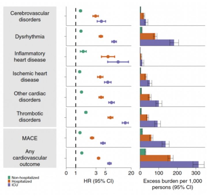 長新冠 Covid19 血管栓塞